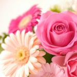 花言葉一覧～誕生日別、感謝・恋愛・希望を伝える花～